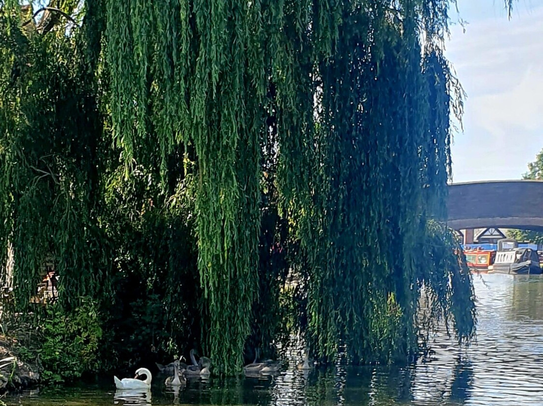 Lancashire Canal Cruises-Burscough必去景点
