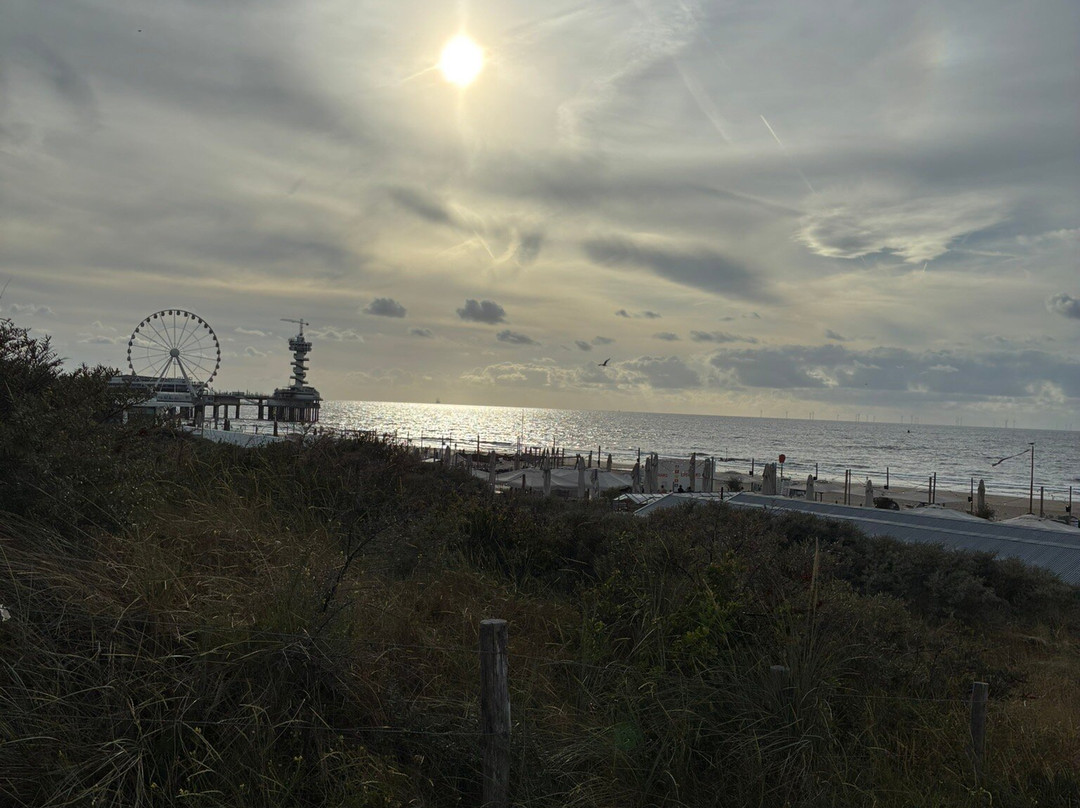 Scheveningen Beach-斯赫弗宁恩必去景点