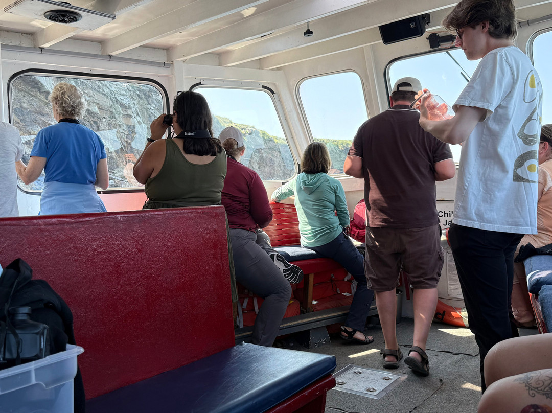 Bird Island Boat Tour-Big Bras d'Or必去景点