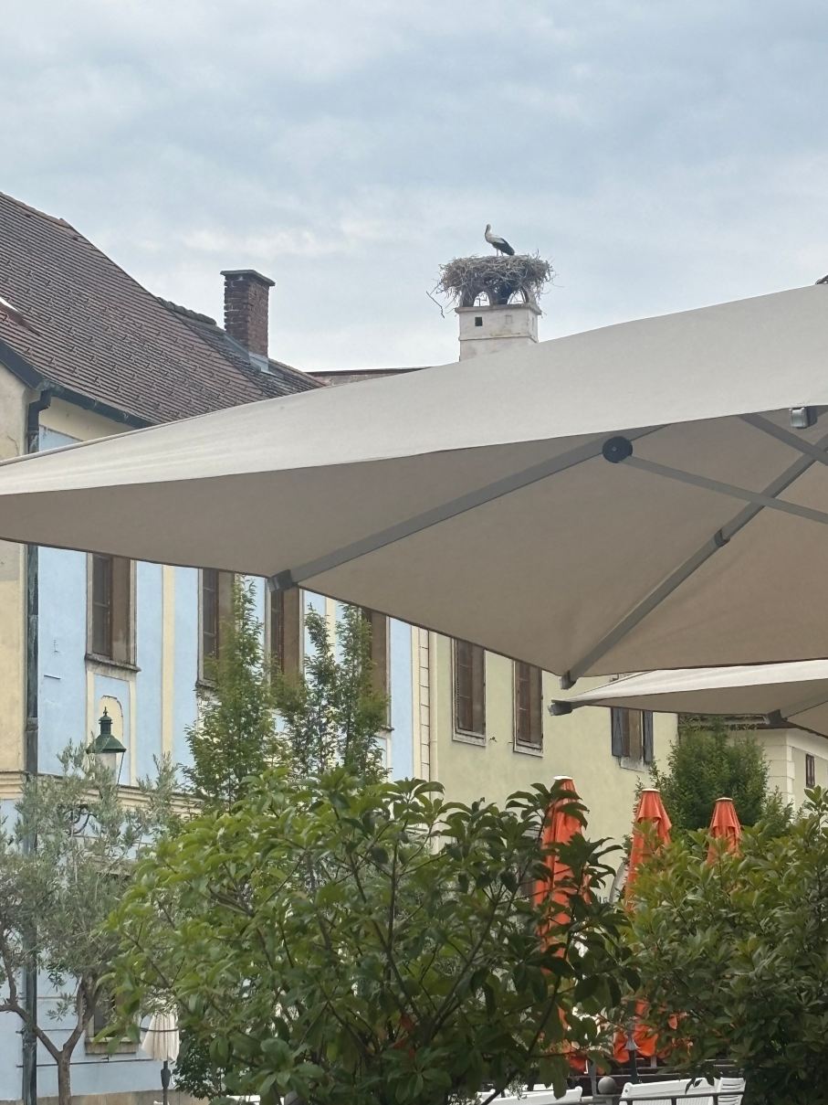 Hotel Schandl-旅行者