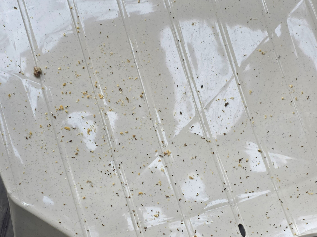 巴伐利亚旅馆旅馆主图