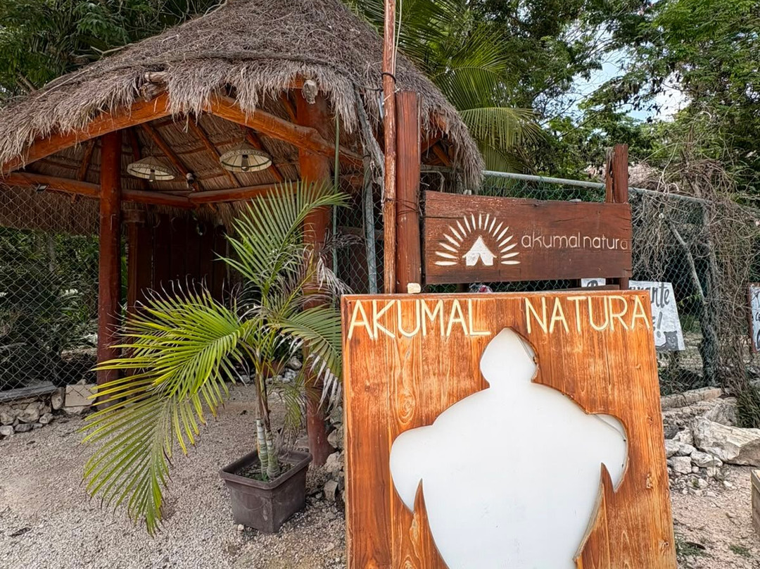 Akumal Natura Rescue-艾库玛尔必去景点