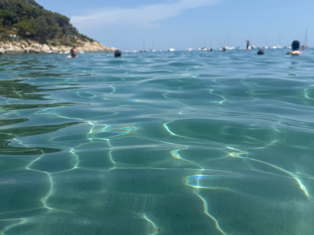 Spiaggia di Fetovaia-Campo nell'Elba必去景点