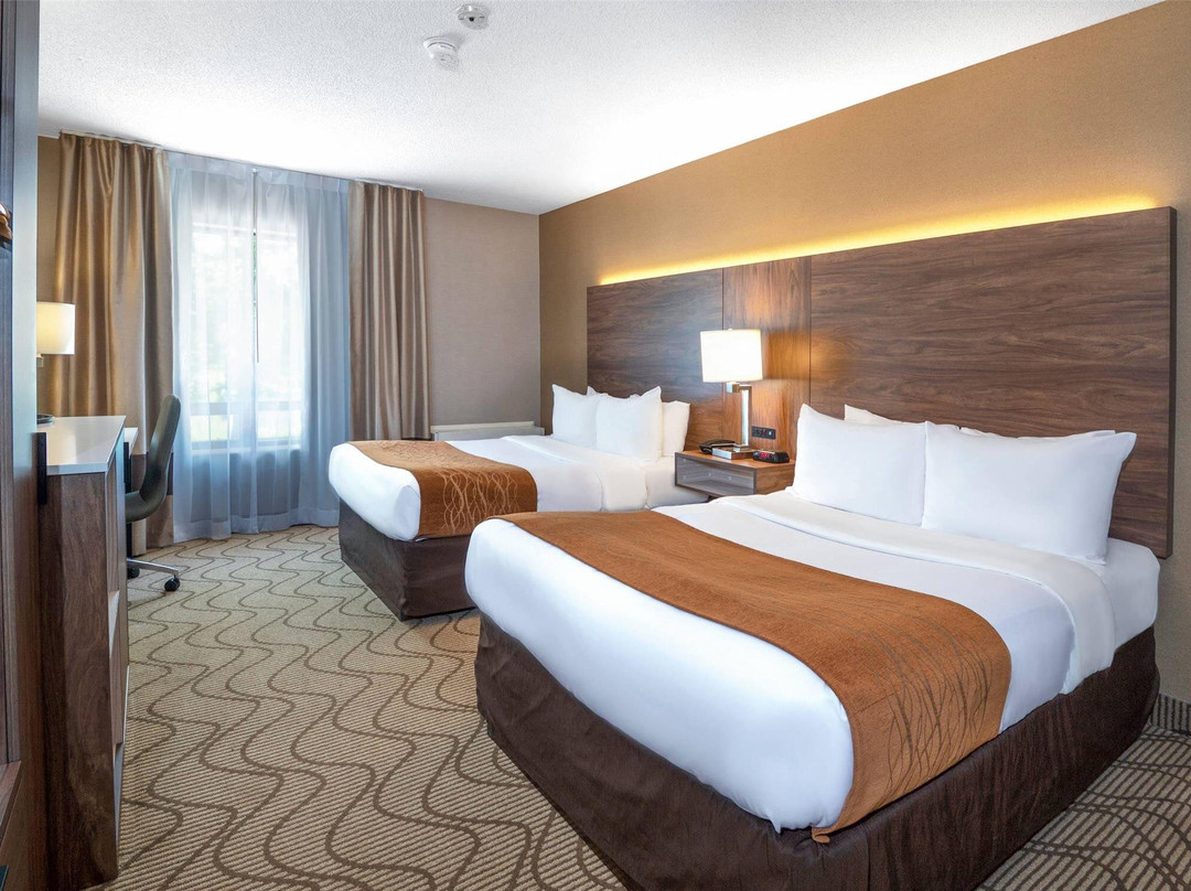 诺斯贝酒店住宿-Comfort Inn Lakeshore - North Bay