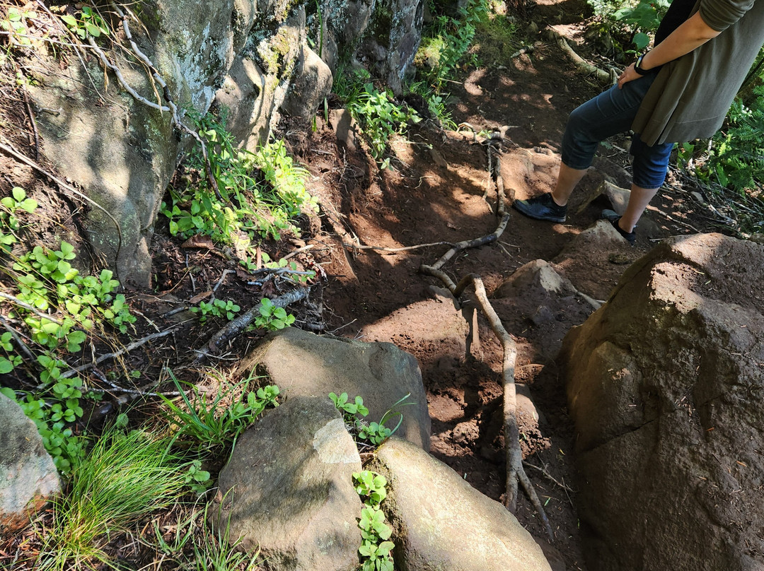 Cape Split Hiking Trail-Scots Bay必去景点