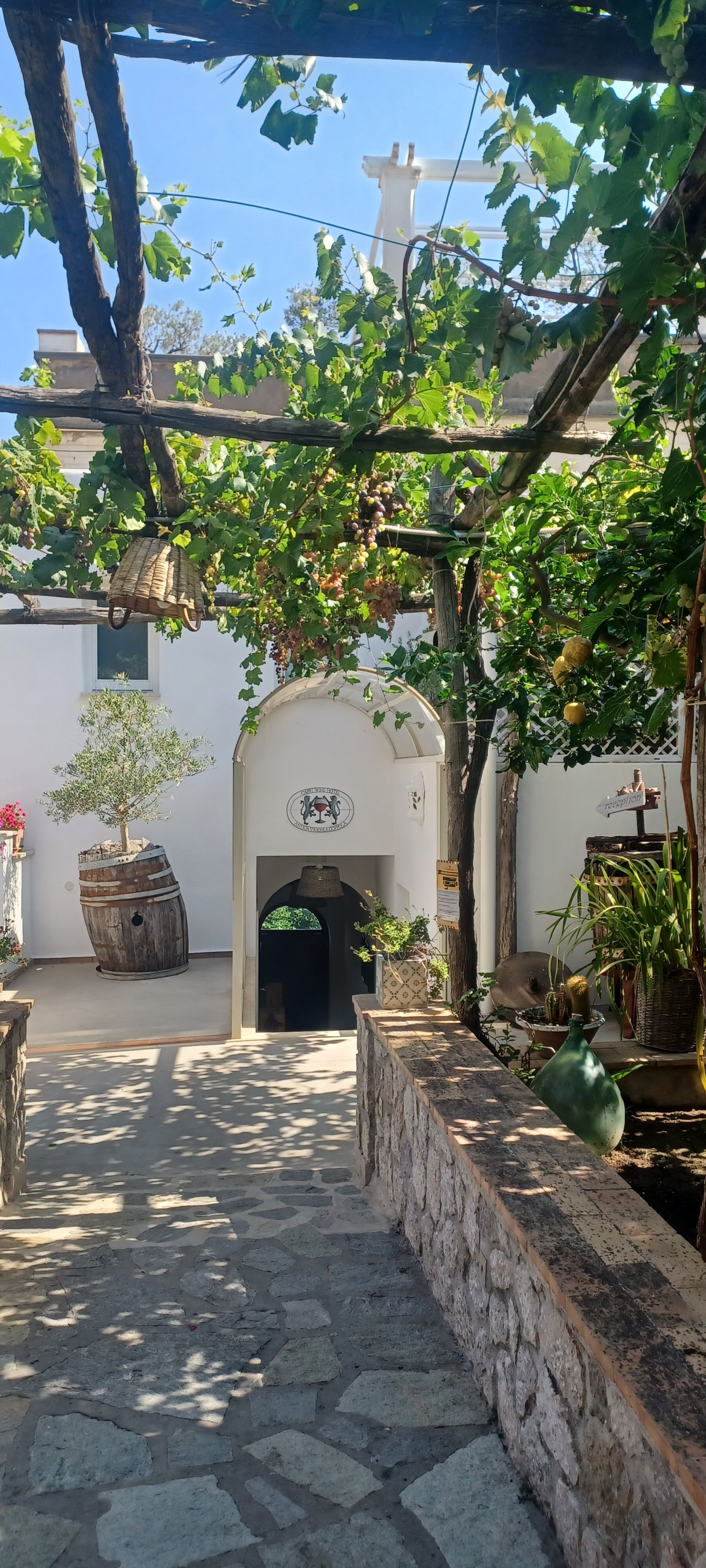卡普里红酒酒店-旅行者
