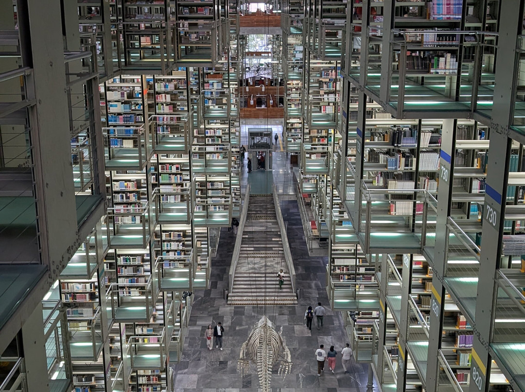 Biblioteca Vasconcelos-墨西哥城必去景点