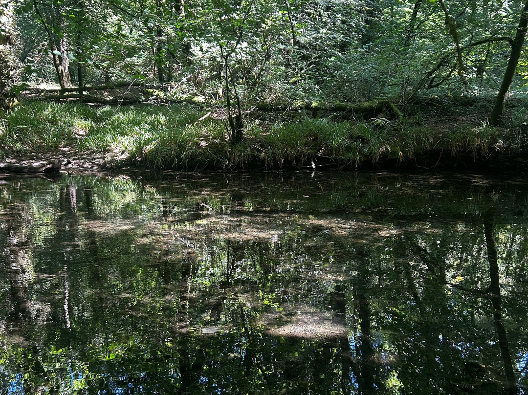 Lydford Gorge-Lydford必去景点