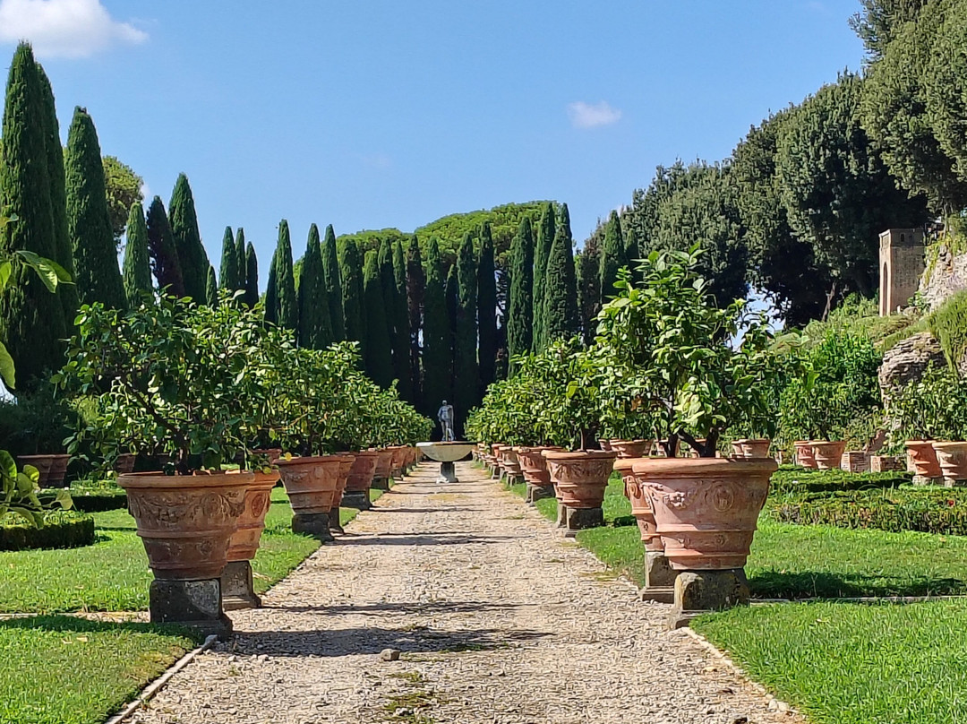 Giardini di Villa Barberini - Borgo Laudato Si'-冈多菲堡必去景点