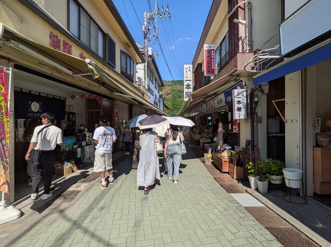 Nagatoro Iwadatamidori Shotengai-长瀞町必去景点