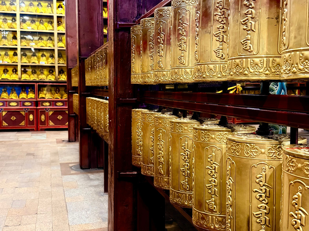 Gandantegchenling Monastery-乌兰巴托必去景点