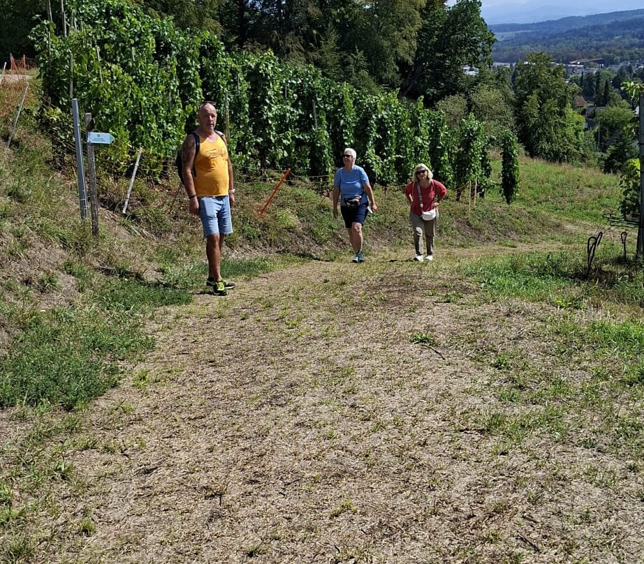 Wein-Wanderweg Weinfelden-Weinfelden必去景点