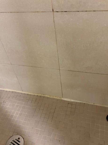 多伦多伯林顿希尔顿花园酒店-旅行者