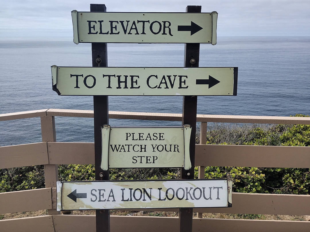 Sea Lion Caves-弗洛伦斯必去景点