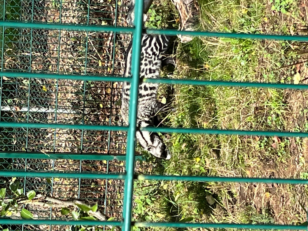Reaseheath Mini Zoo-Nantwich必去景点