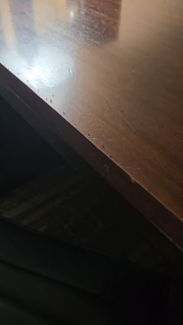 辛辛那提机场希尔顿逸林酒店-客卧
