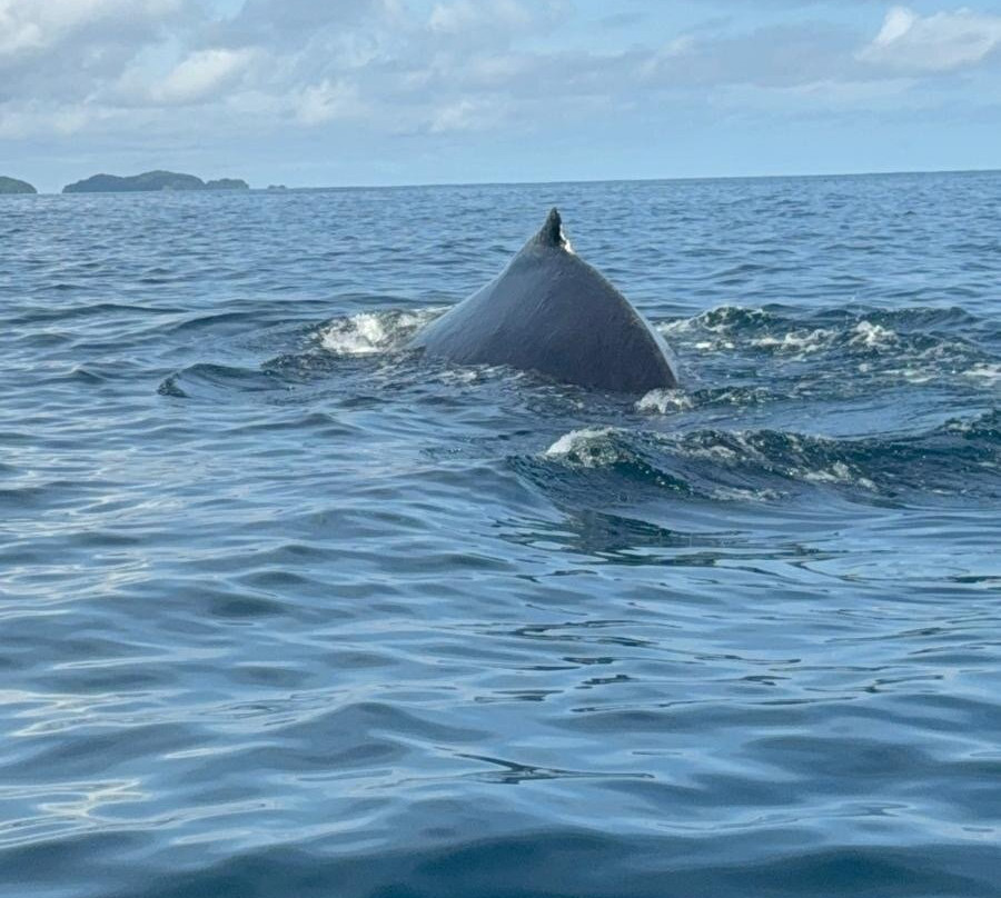 Unlimited Adventures Coiba-Santa Catalina必去景点