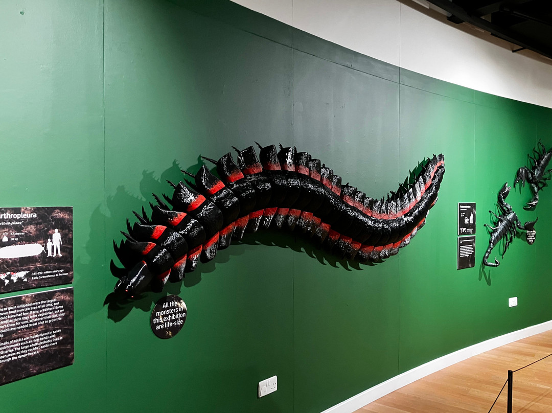 The Beacon Museum-Whitehaven必去景点