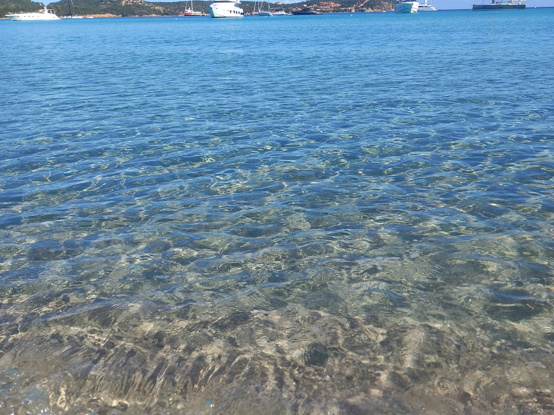 Spiaggia del Pevero-切尔沃港必去景点