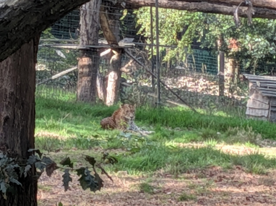 Parc Zoologique Cerza-Hermival-les-Vaux必去景点