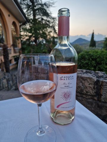 新德里诗人别墅酒店-旅行者