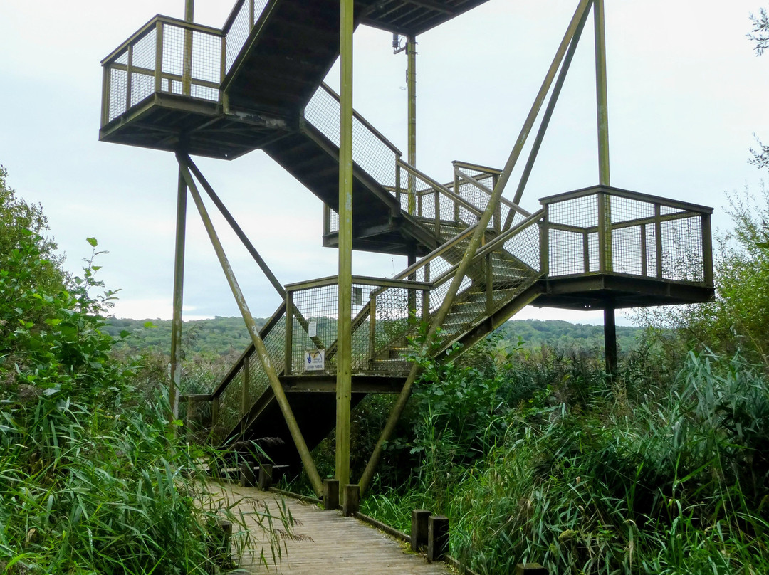 RSPB Leighton Moss Nature Reserve-Silverdale必去景点