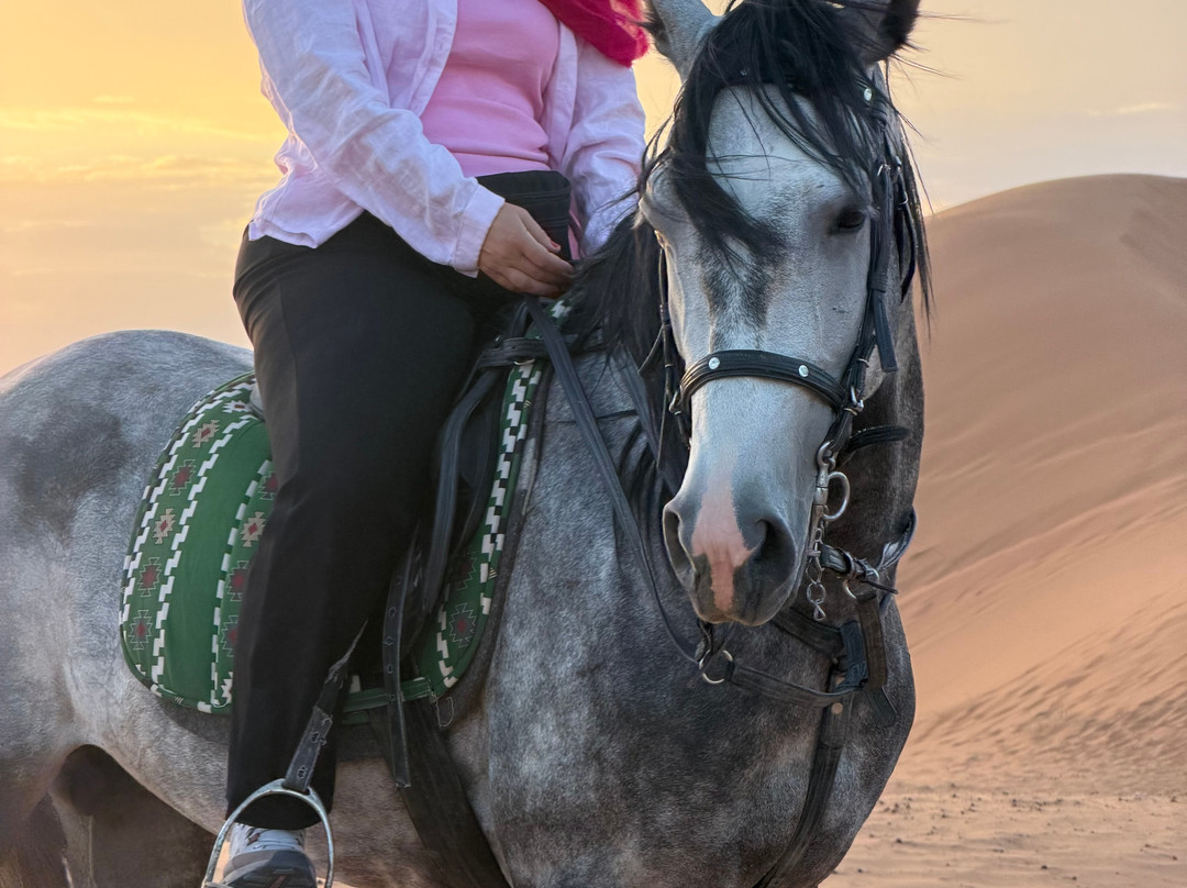 Merzouga Horse Riding-Hassilabied必去景点