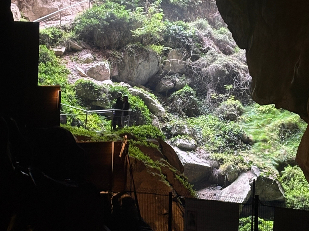 Grotte de Lombrives-Ussat必去景点