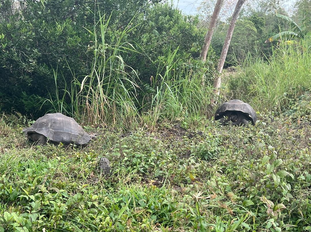 Reserva Galápagos Frontier-圣克鲁斯必去景点