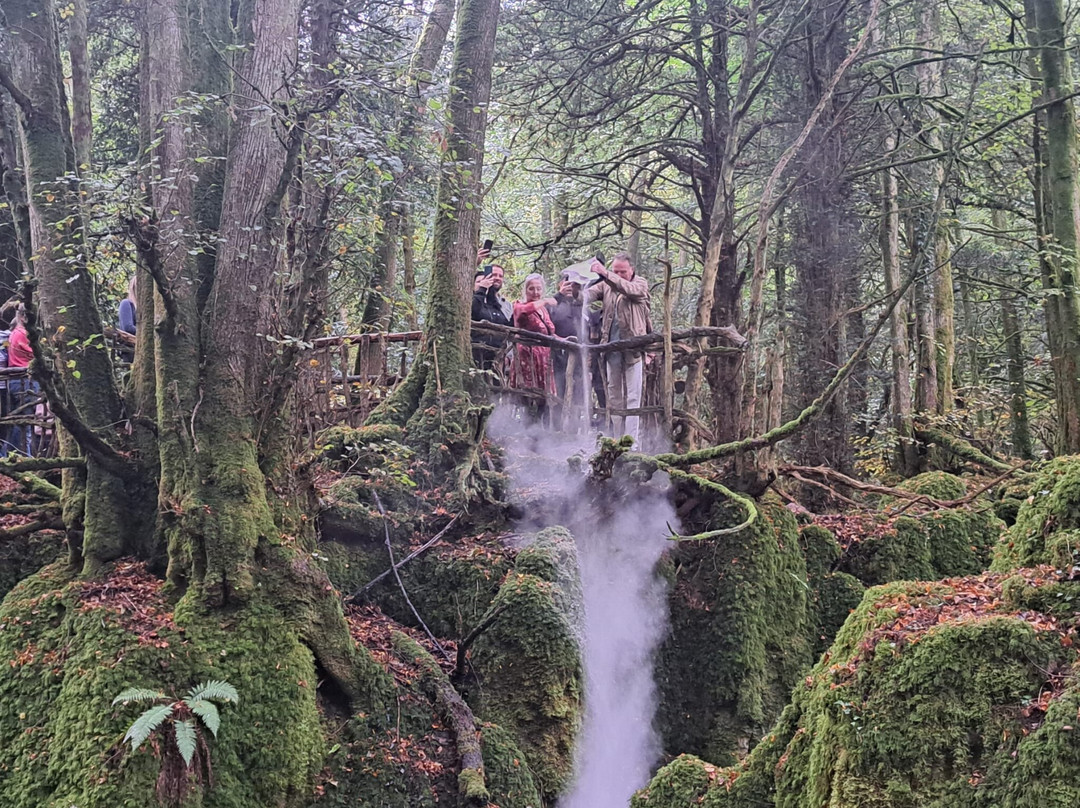 Puzzlewood-Coleford必去景点
