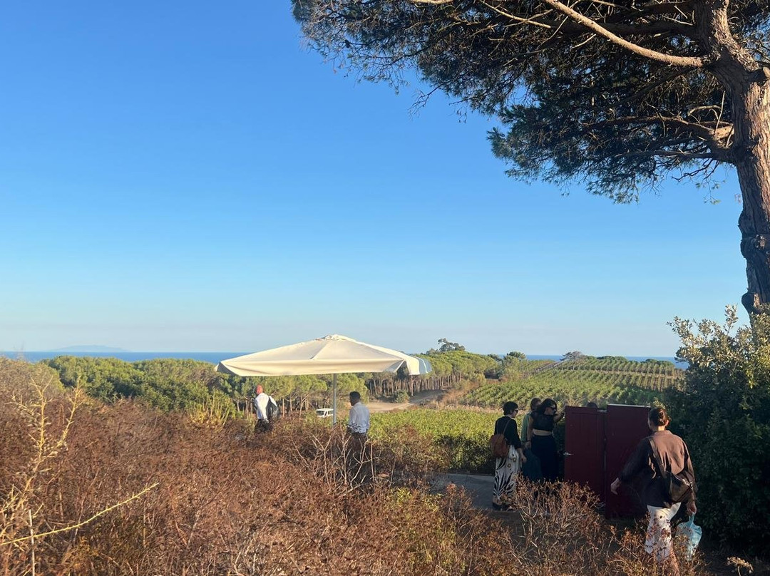 CANTINA Tenuta delle Ripalte-Capoliveri必去景点