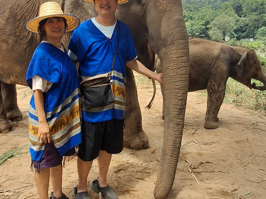 New Elephant Home-Kuet Chang必去景点