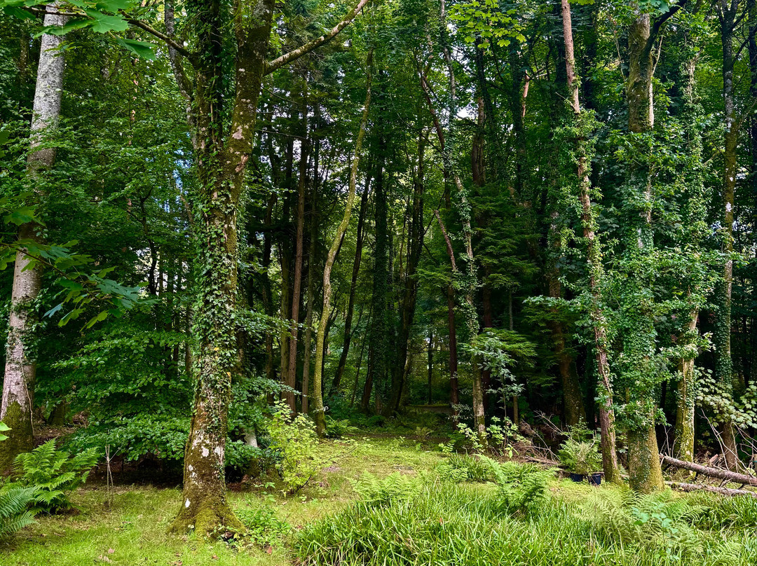 Arbigland House and Gardens-邓弗里斯必去景点