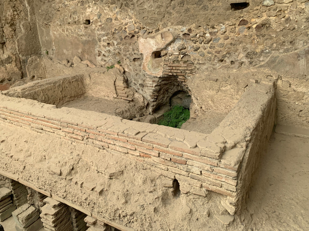 Stabian Baths (Terme Stabiane)-庞贝必去景点