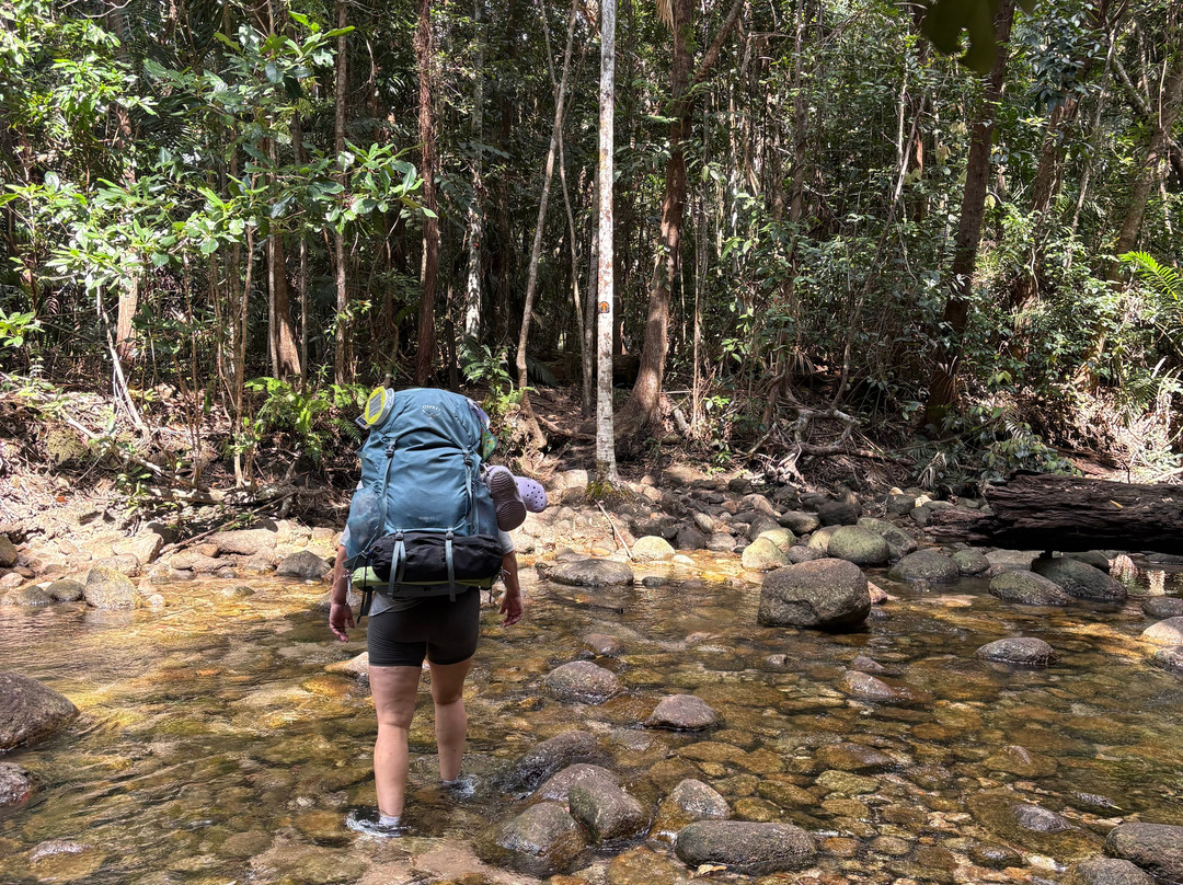 Absolute North Charters-Hinchinbrook Island必去景点