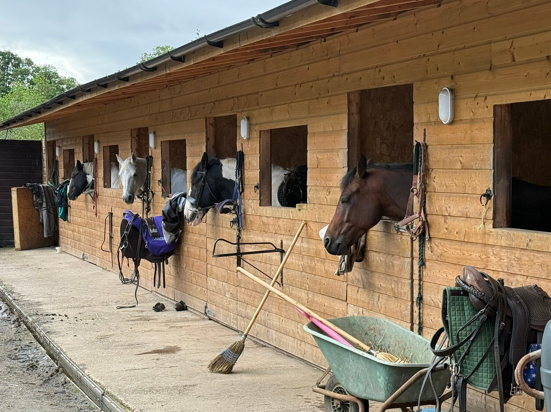 Loch Lomond Pony Trekking-Balloch必去景点