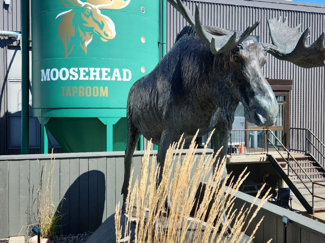 Moosehead Breweries-圣约翰必去景点