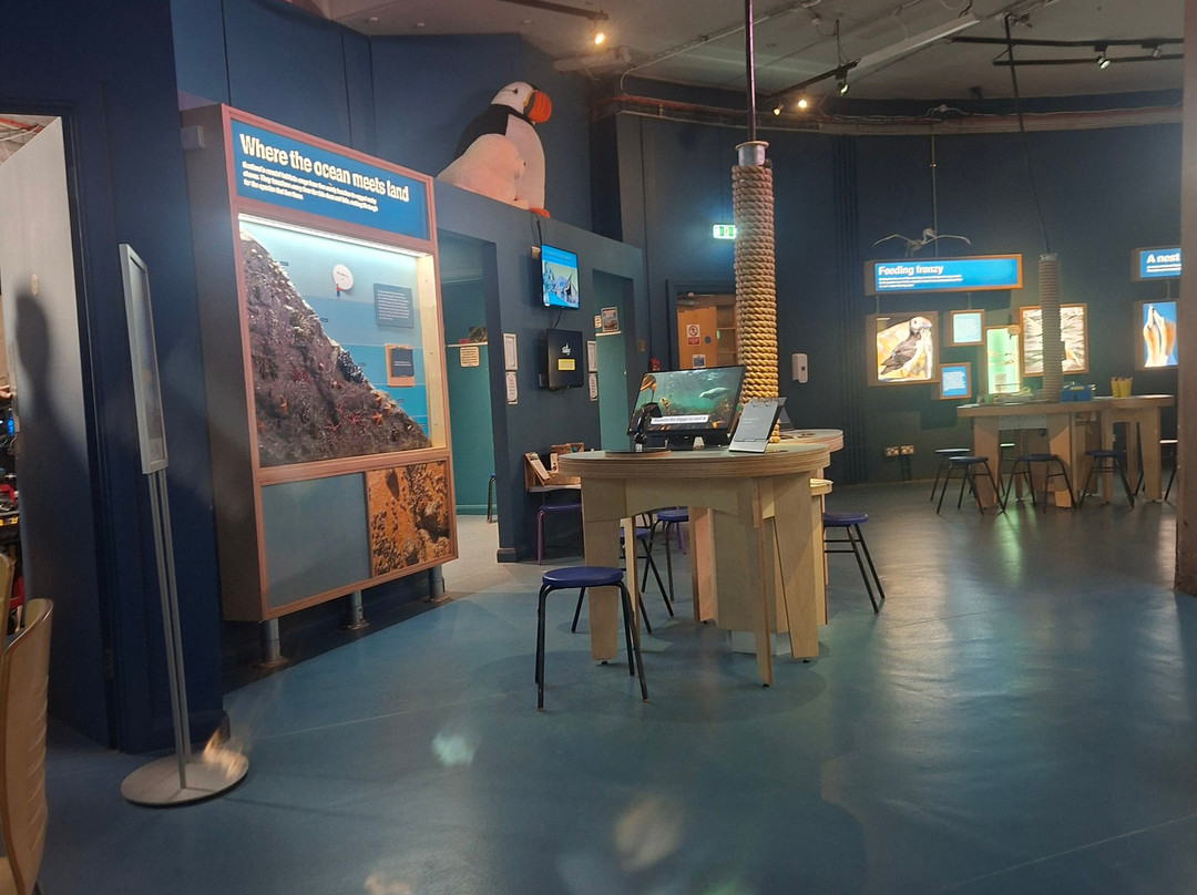 Scottish Seabird Centre-北柏威克必去景点