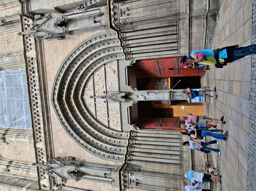 Cathedrale Saint Pierre-瓦讷必去景点