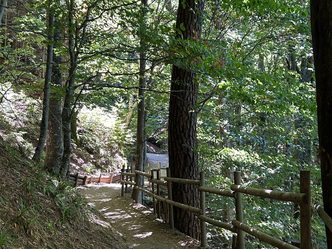 Lac Pavin-Besse-et-Saint-Anastaise必去景点