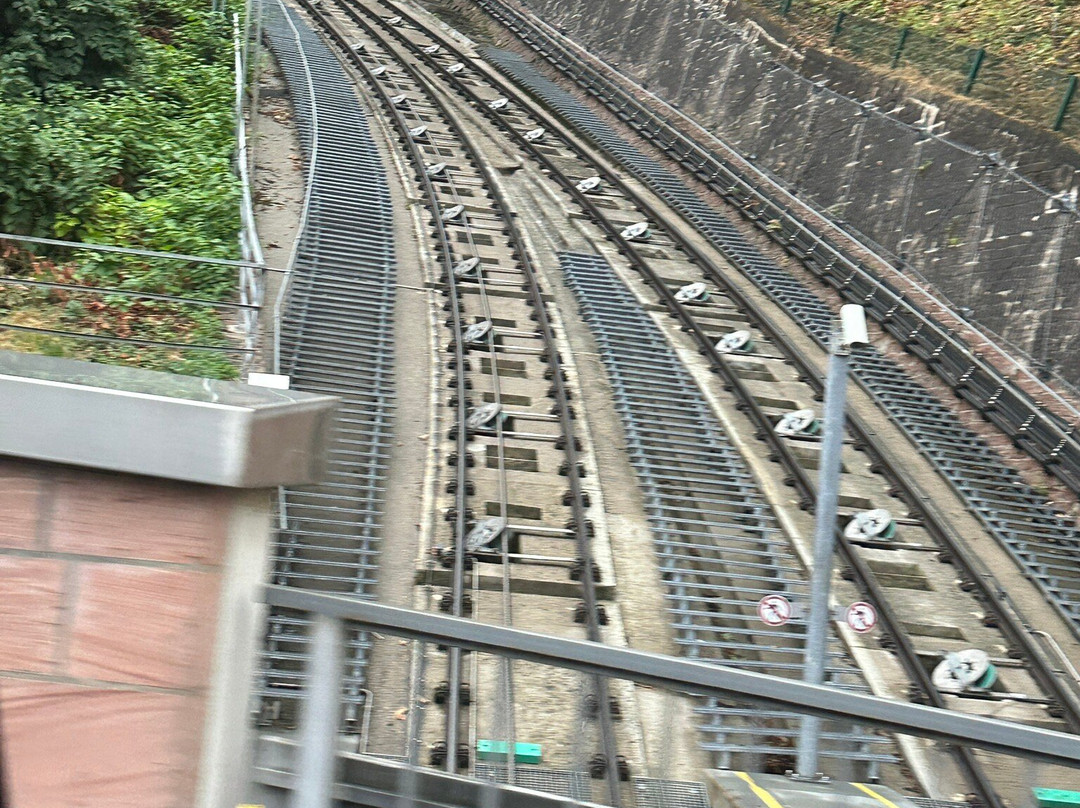奥登瓦尔德山缆车-海德尔堡必去景点