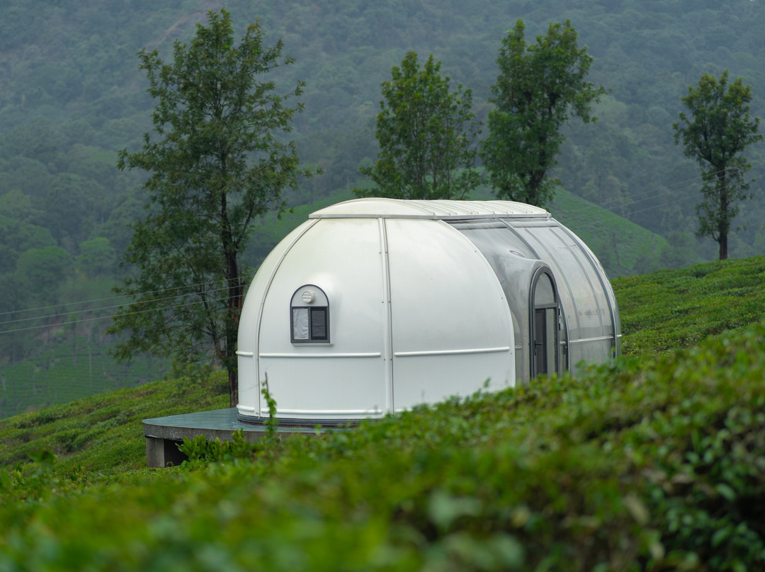 Boche 1000 Acre Wayanad