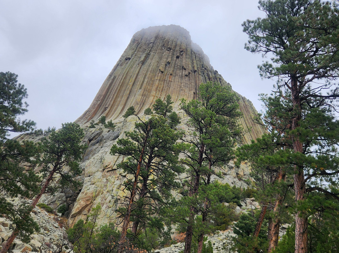 Devils Tower National Monument-Devils Tower必去景点