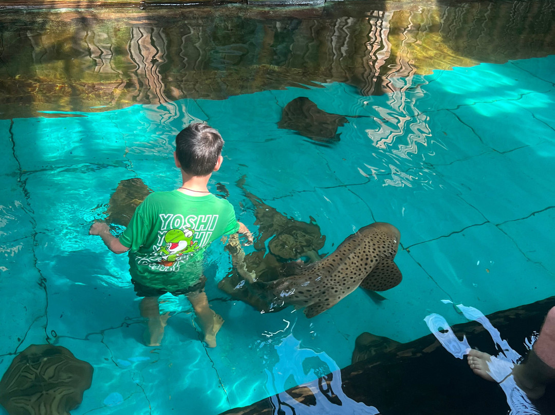 Port Stephens Animal Adventures-Bobs Farm必去景点