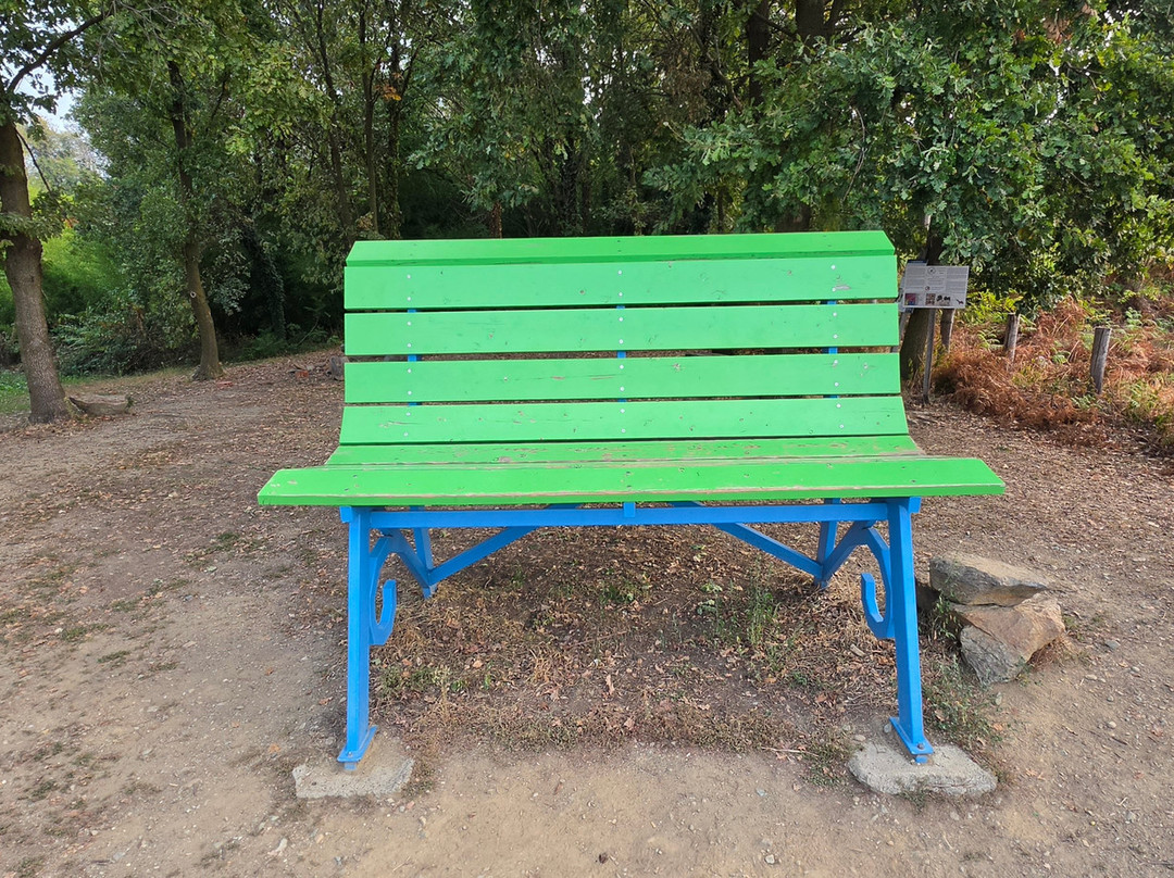 Panchina Gigante 187 Viverone Big Bench