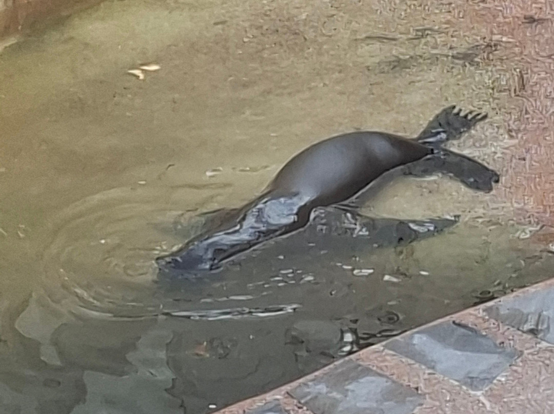 Park Las Aquilas Jungle Park-阿罗纳必去景点