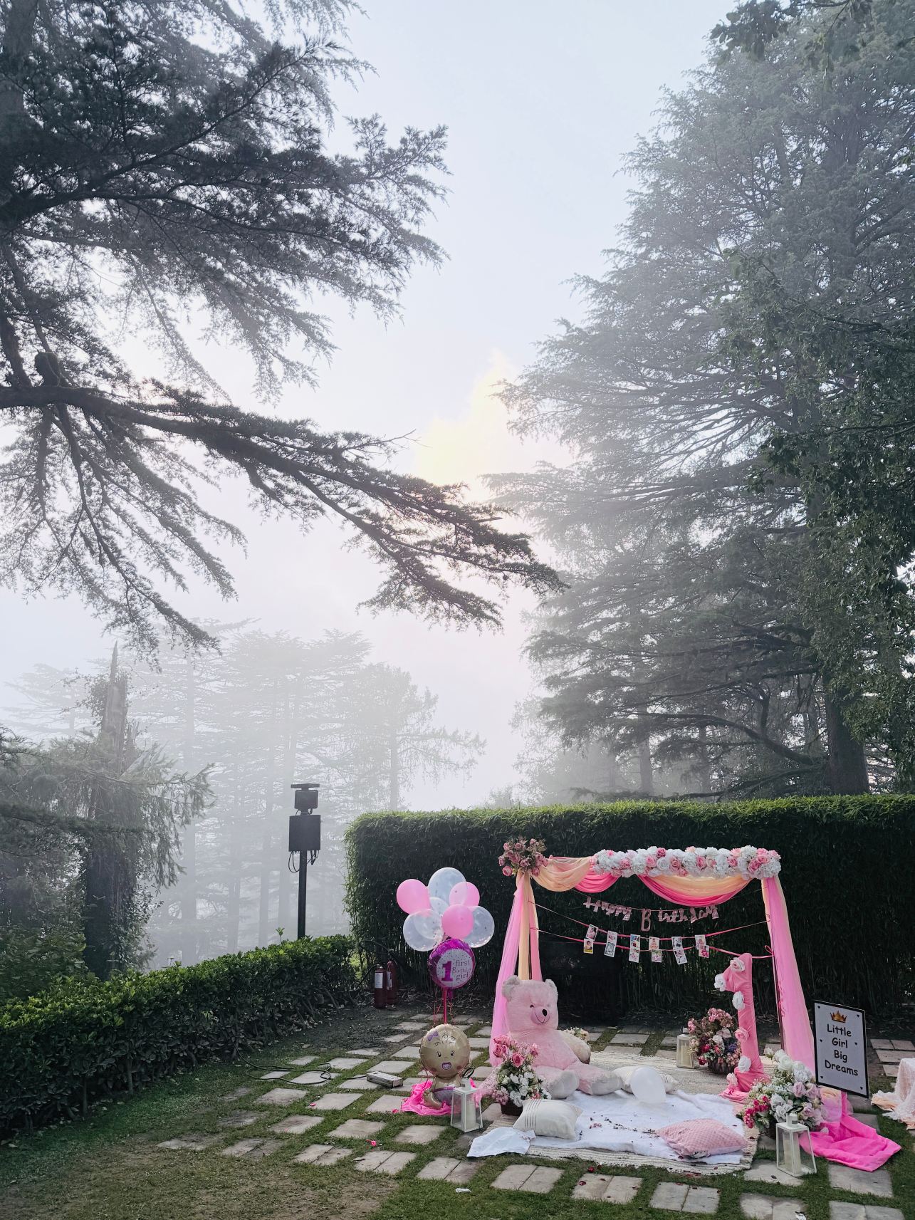 西姆拉野花大厅酒店-旅行者