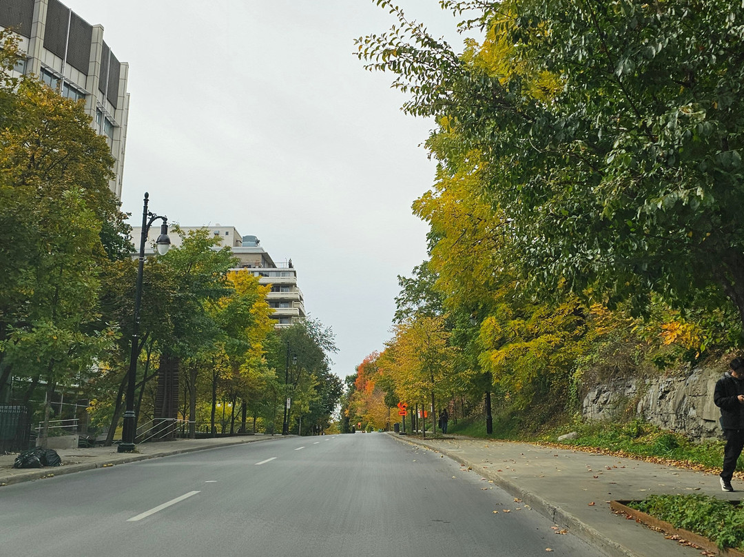 Plateau Mont-Royal-蒙特利尔必去景点