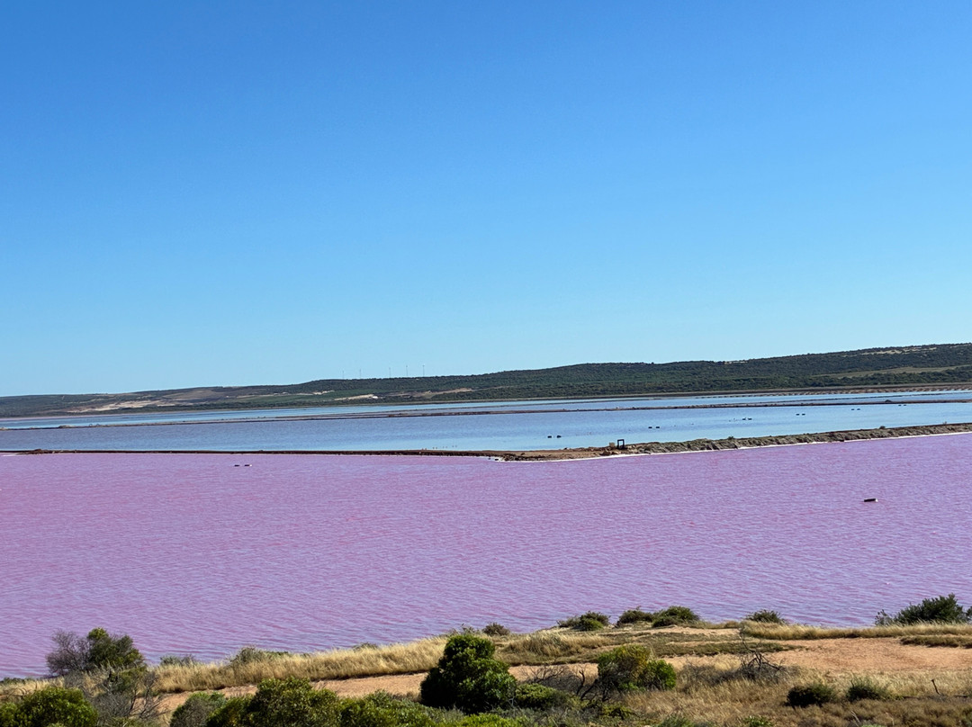 Pink Lake-卡尔巴里必去景点