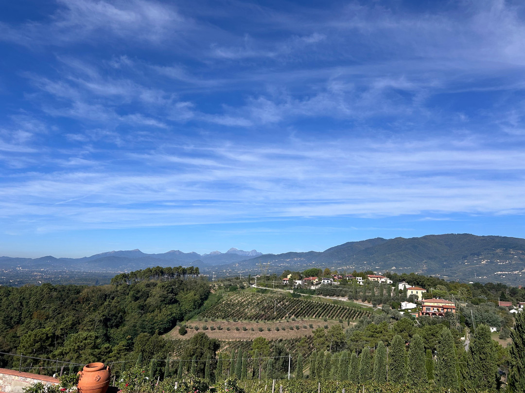 Lucca Cooking Classes-卢卡必去景点